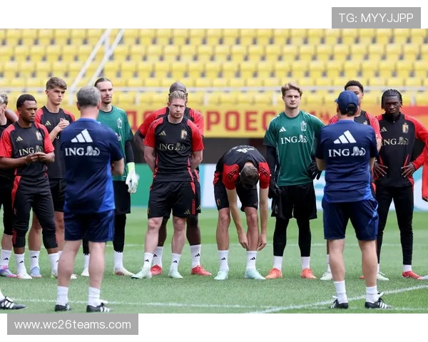 2026年世界杯预选赛赛制变化对足球迷观赛体验和球队备战策略的影响探讨