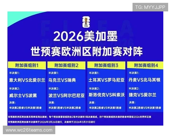 2026年世界杯都有哪些国家队参加比赛全面解析
